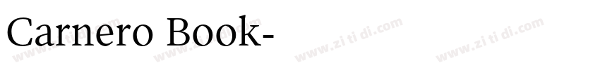 Carnero Book字体转换